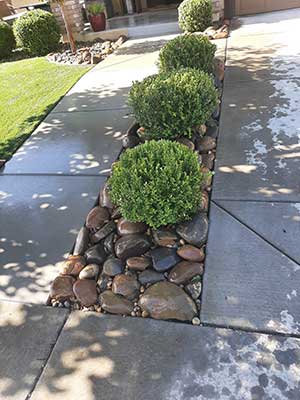Custom Landscape Design