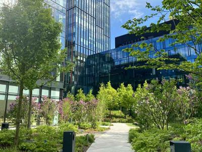 Commercial Lawn Maintenance