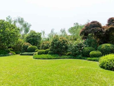 Garden Landscaping Design